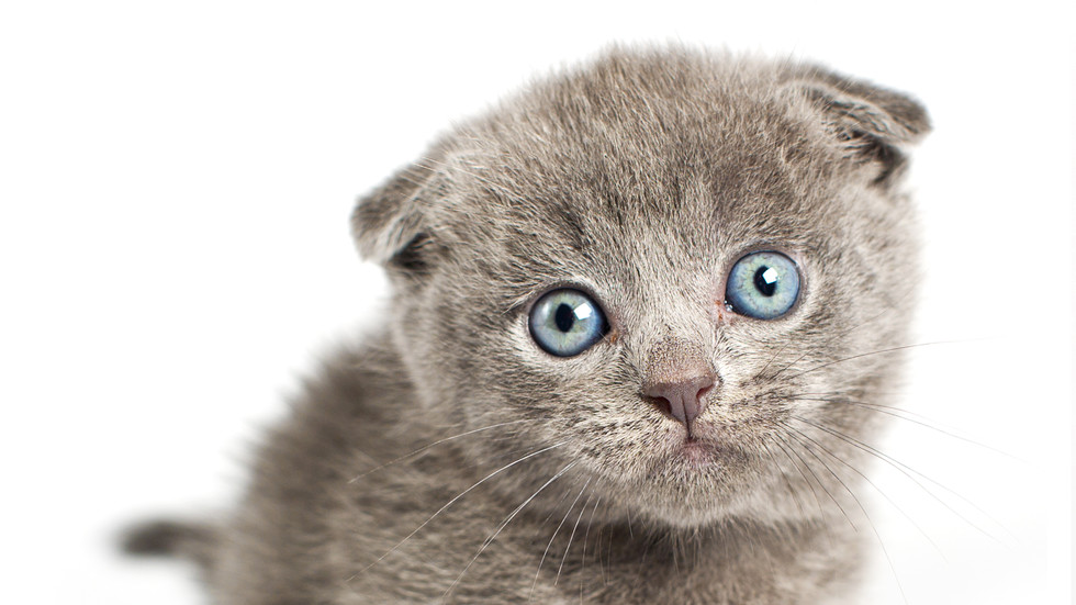 Снимка: Thinkstock