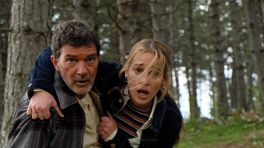 Черна пеперуда