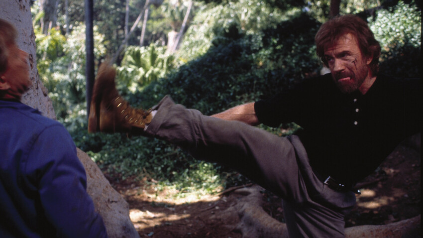 Върховно куче