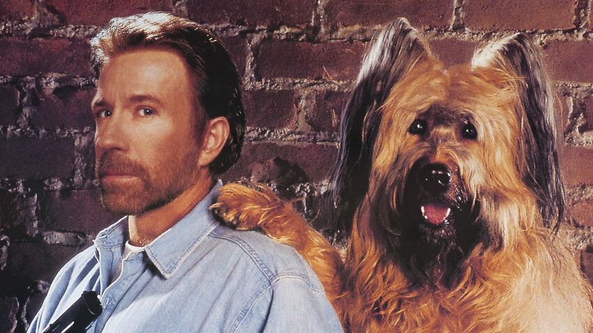 Върховно куче