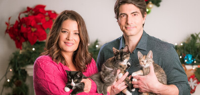 Девет котенца за Коледа