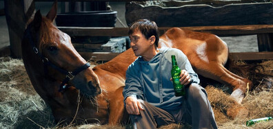 Кунг-Фу жребец