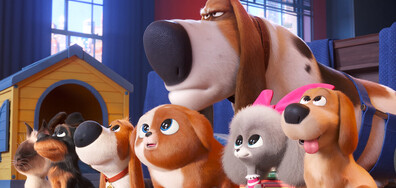 Сами вкъщи 2