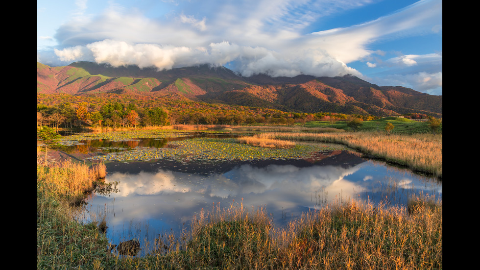Есенна Япония - страната, в която ходят на "лов за листа"