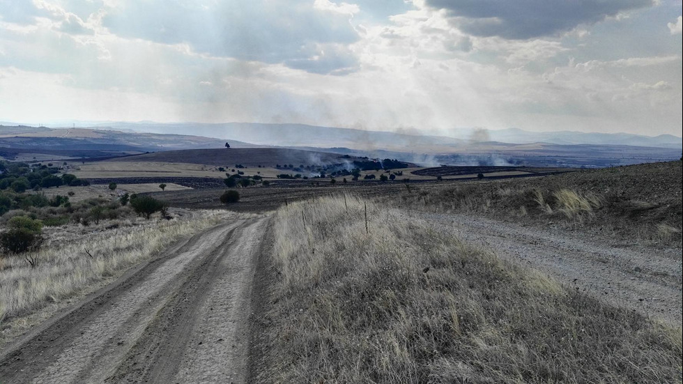 Пожар до пернишкото село Дивотино