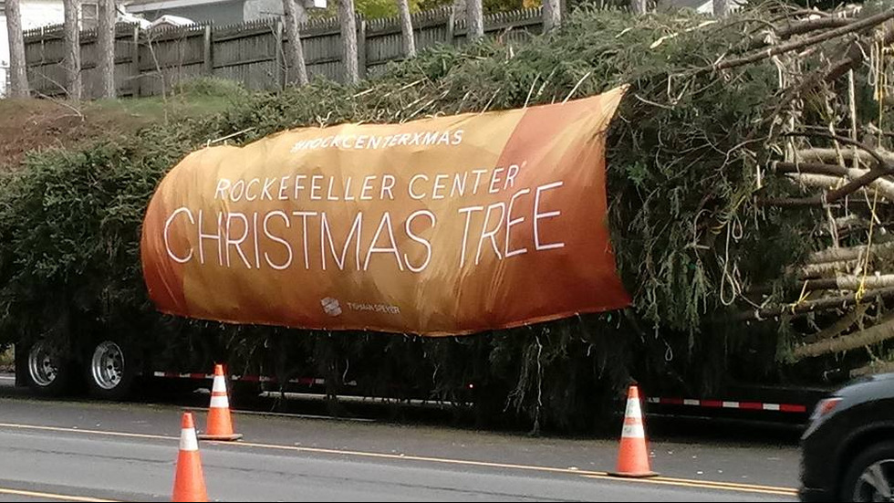 Поставиха коледното дърво в Ню Йорк