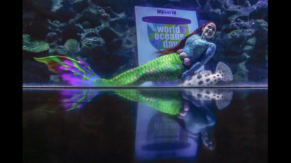 Светът отбелязва Деня на океаните