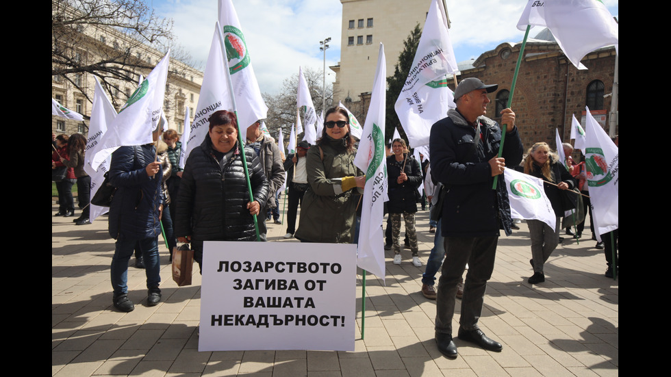 Лозари излязоха на протест