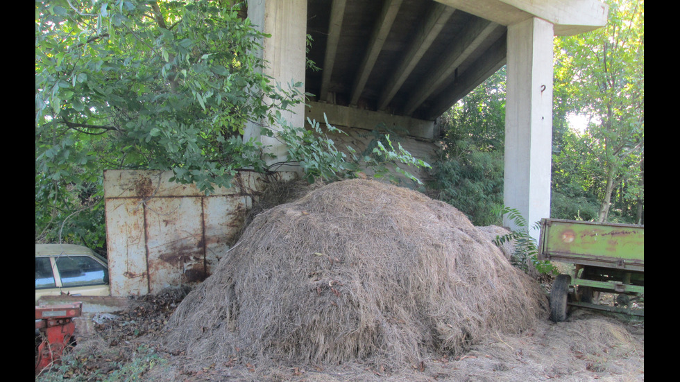 Проверка на АПИ регистрира 120 нерегламентирани сметища под мостове