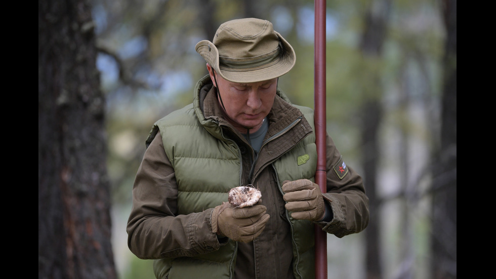 Путин бере гъби на рождения си ден високо в сибирските планини