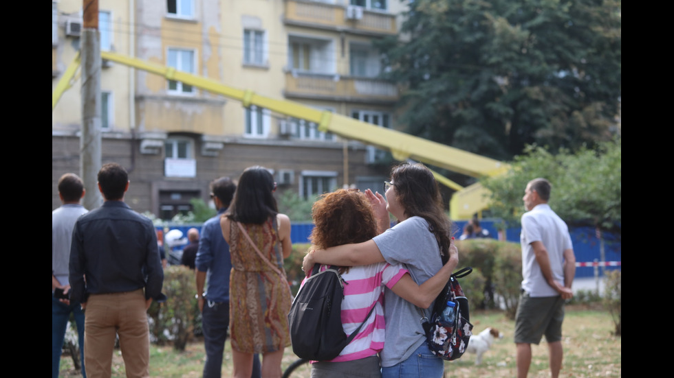 Започна рязането на дървета на улица "Опълченска" в София