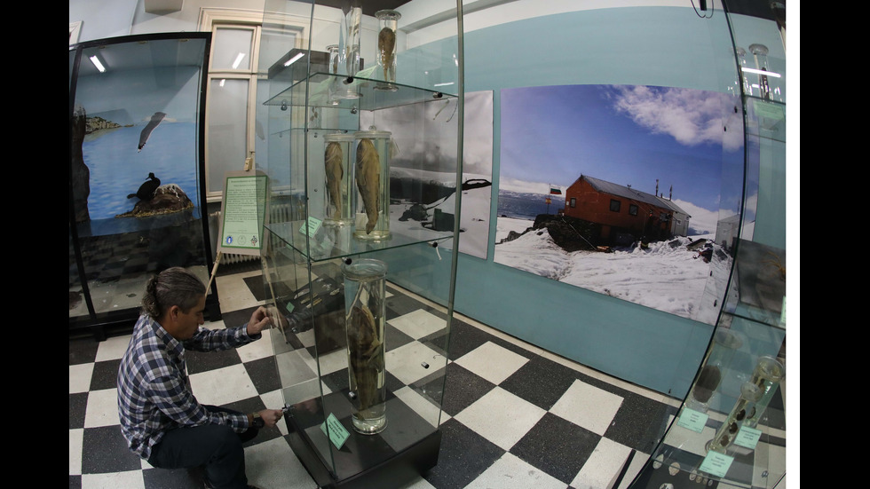 Откриха постоянна експозиция "Биоразнообразието на Арктика" в НПМ