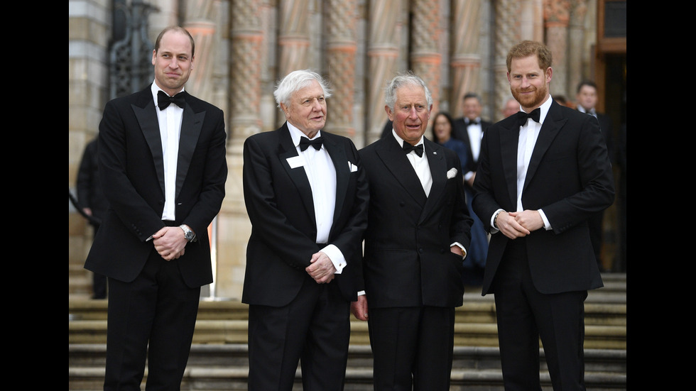 Британските принцове и футболни зведи - на премиерата на "Нашата планета"