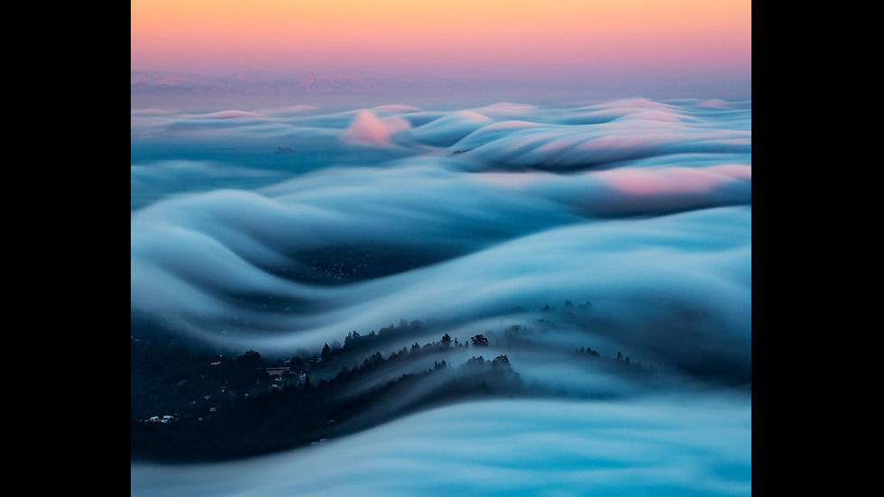 Мъглата над Сан Франциско