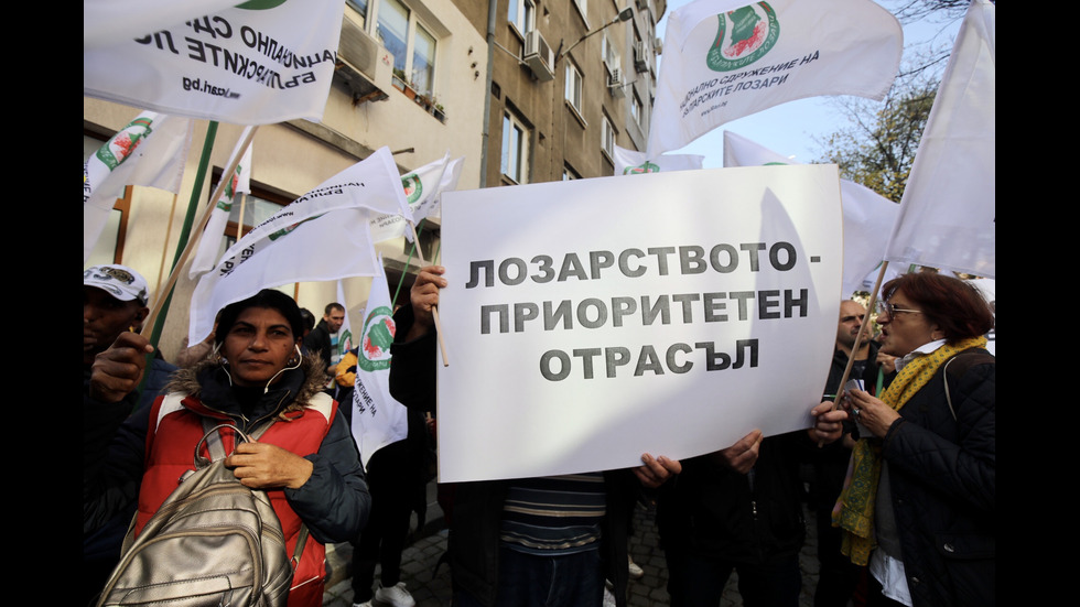 Протест на лозари в София