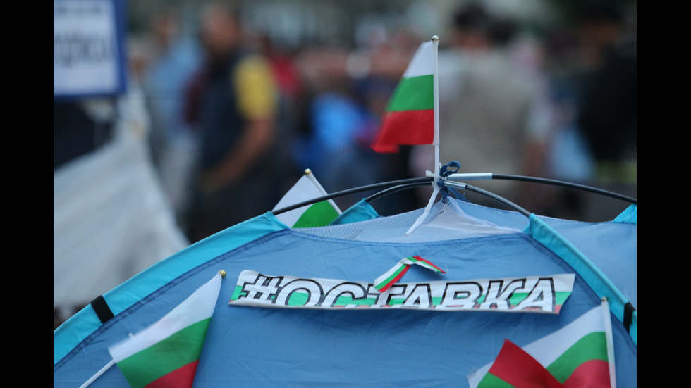 Протест и контрапротест в центъра на София