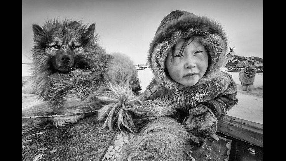 Спиращи дъха снимки, заслужили международни награди