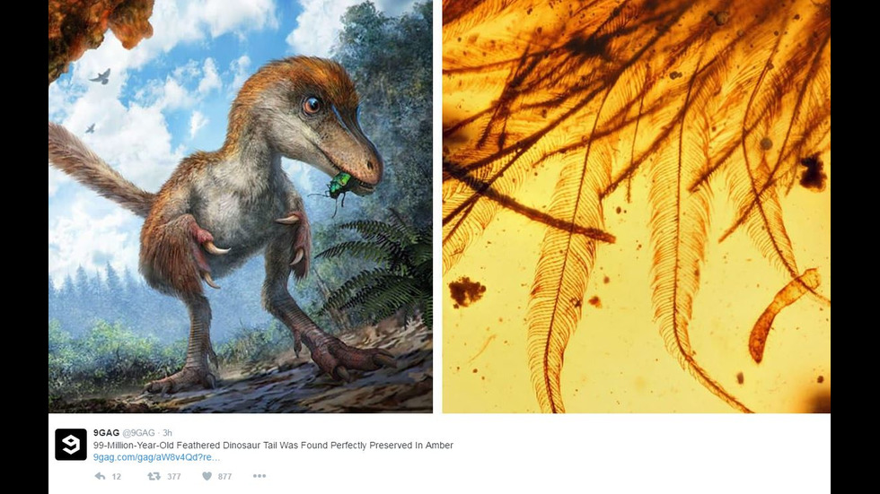 Опашка на динозавър се е запазила в кехлибар