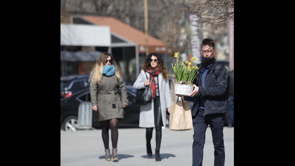 Международният ден на жената