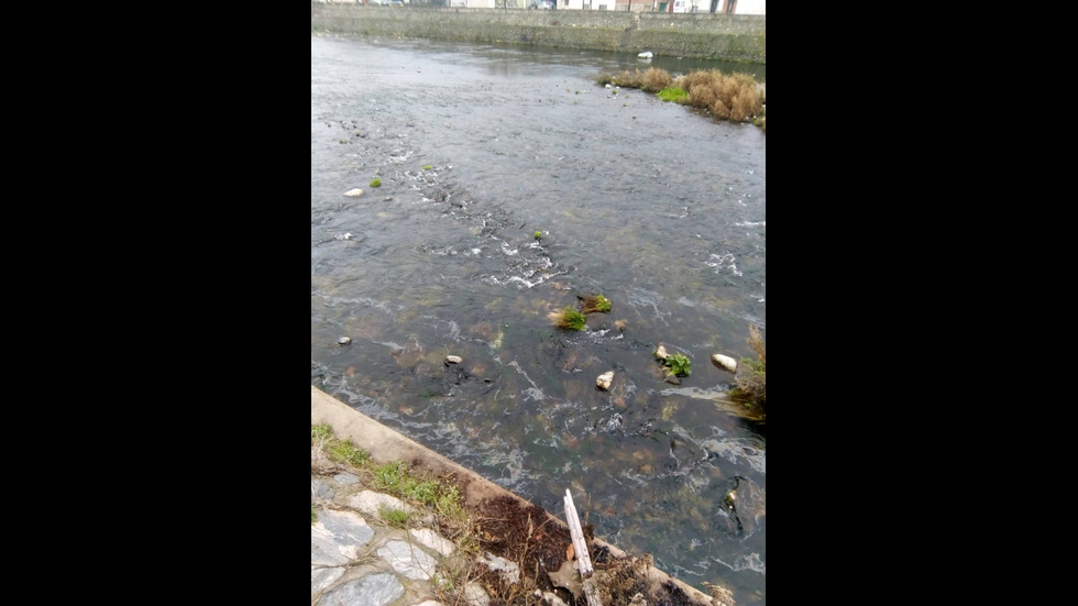 Замърсяване на река Въча