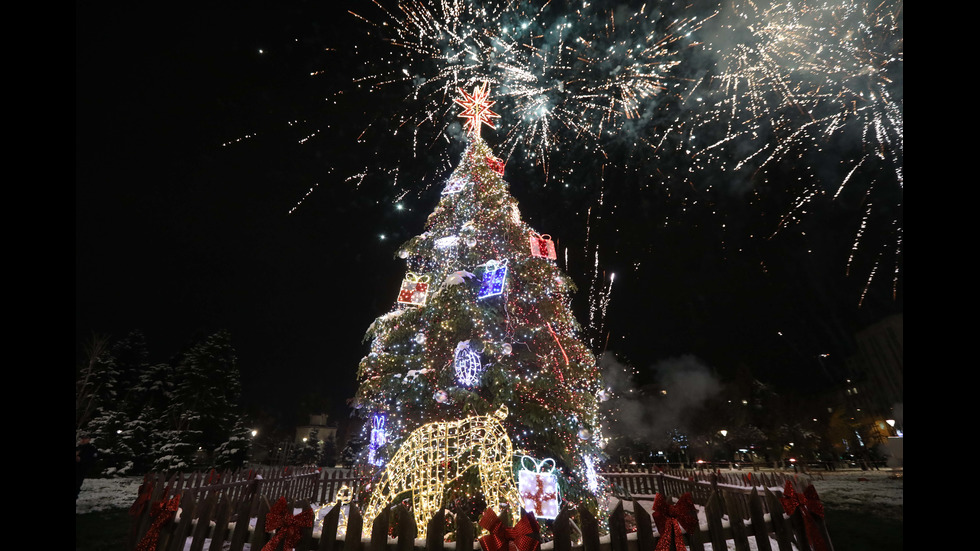 Коледната елха в София