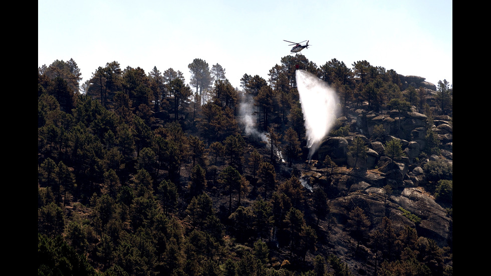 Големи горски пожари бушуват в Испания и Германия