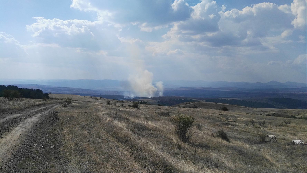 Пожар до пернишкото село Дивотино