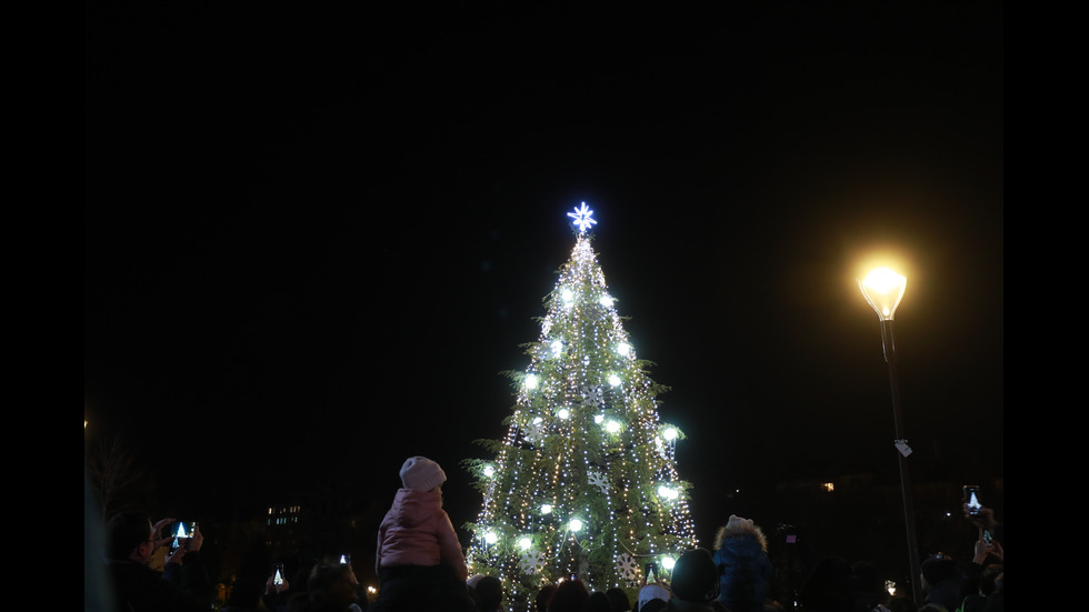 КОЛЕДЕН ДУХ: Грейват светлините на елхата в София (ГАЛЕРИЯ)