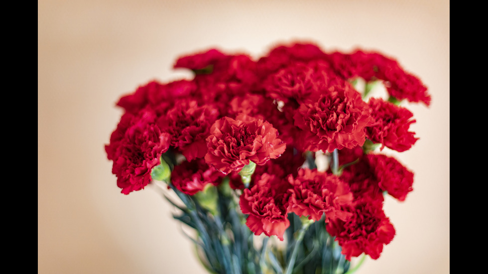 Карамфилът като символ