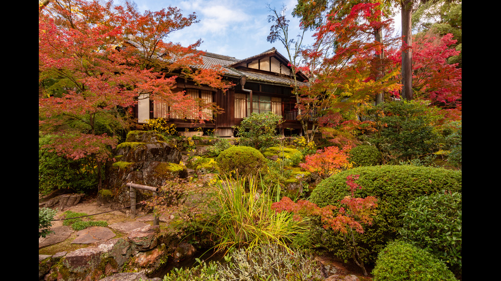Есенна Япония - страната, в която ходят на "лов за листа"