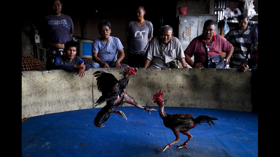 Новините на 2019-а в снимки