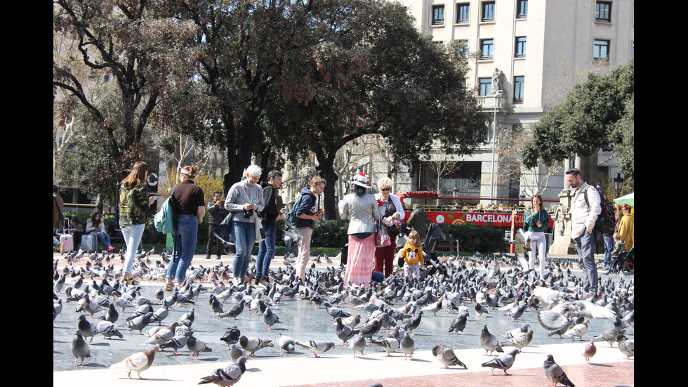 Красотата на Каталуния