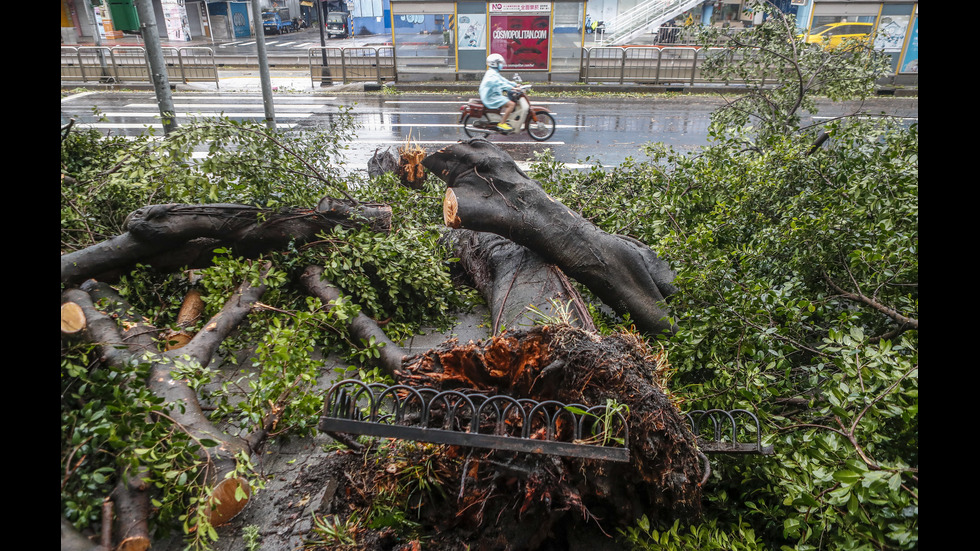 Мощният тайфун "Мария" продължава да сее хаос в Източна Азия