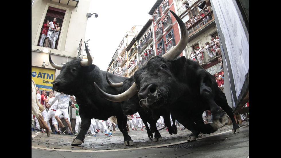 ФЕСТИВАЛЪТ В ПАМПЛОНА: Хиляди се събраха за началото на надбягването с бикове