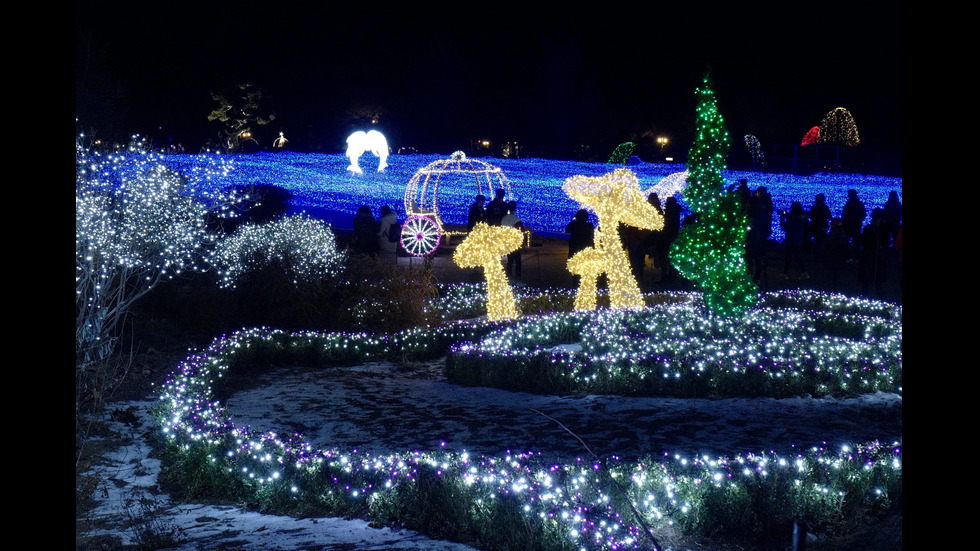 Коледен фестивал в Южна Корея