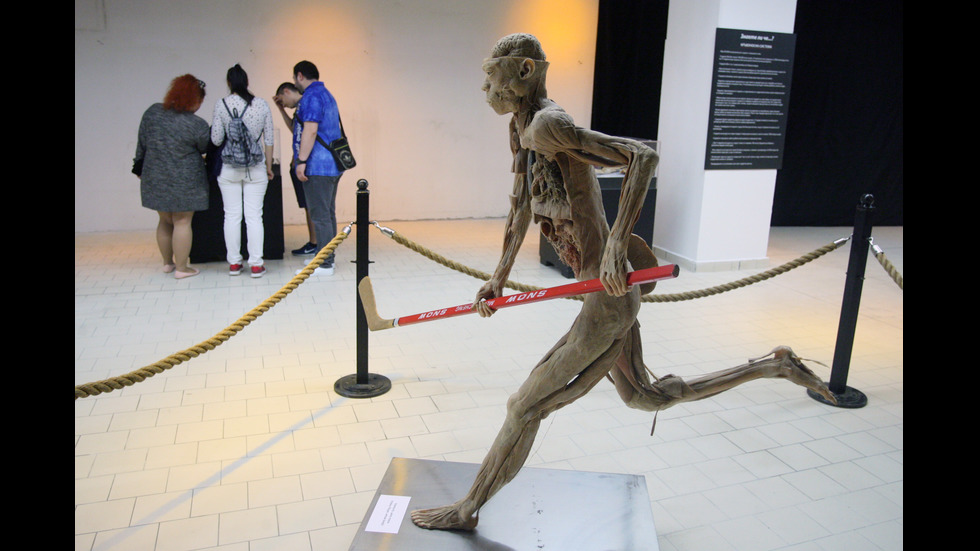 ЗА ПРЪВ ПЪТ У НАС: Изложба с истински човешки тела в мола