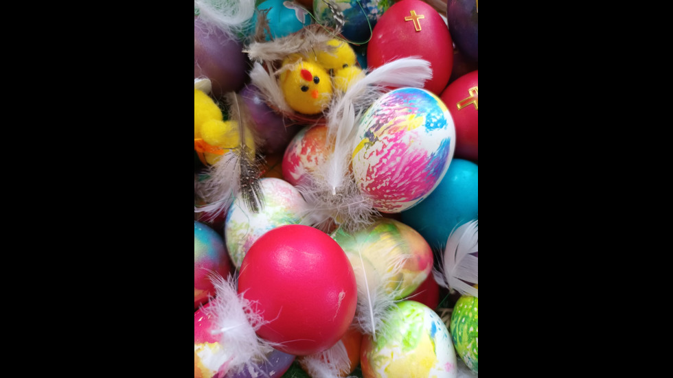 ОТ „МОЯТА НОВИНА”: Зрителите на NOVA обагриха великденските яйца