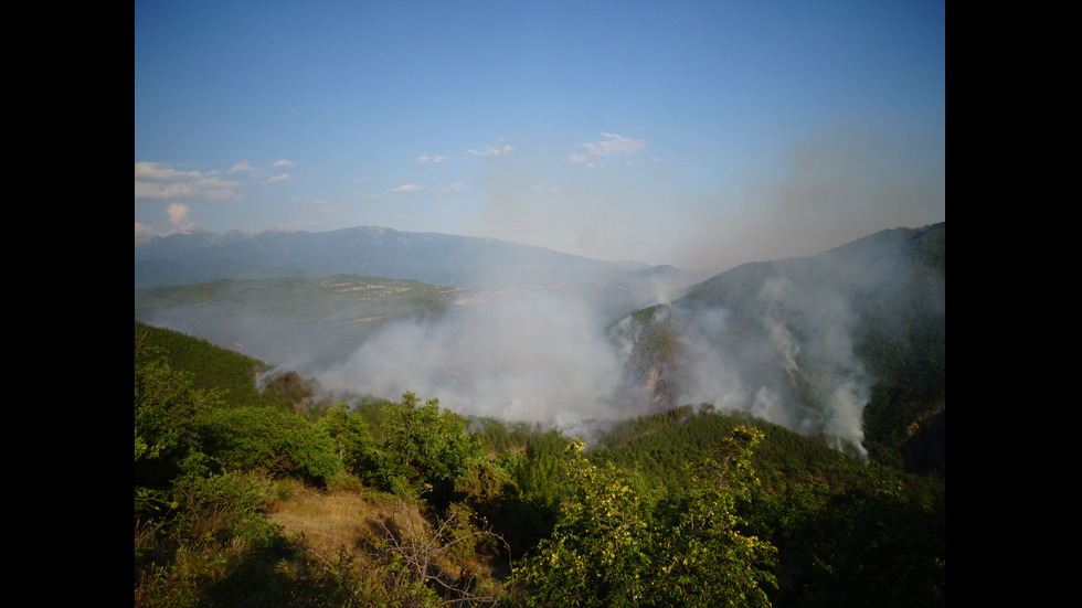 Голям горски пожар край село Стара Кресна