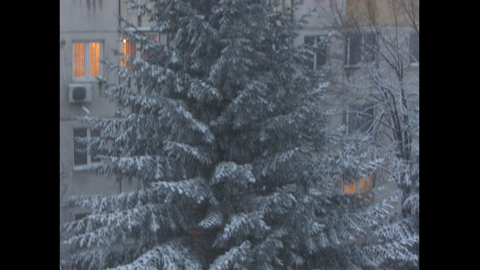 Сняг в Северна България
