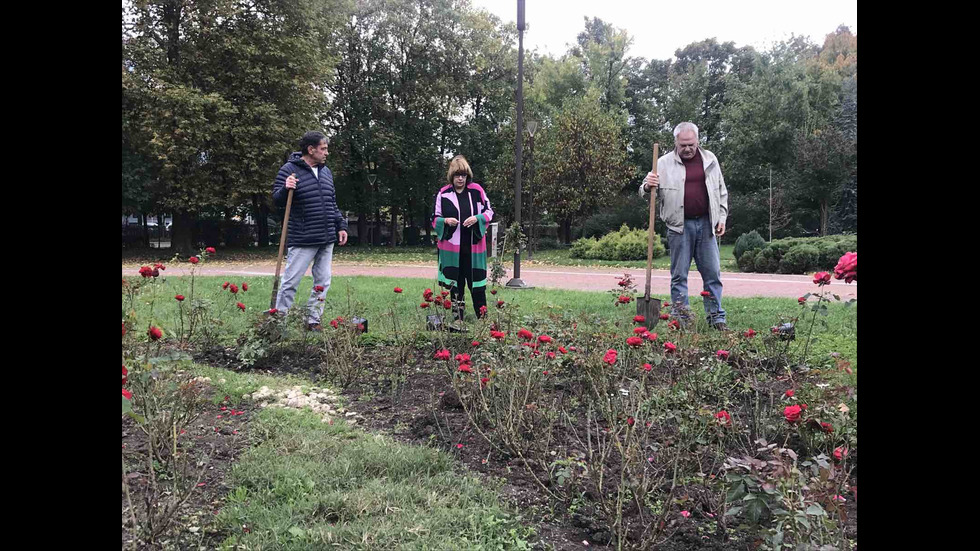 Засадиха рози в столичен парк като признателност към донорите