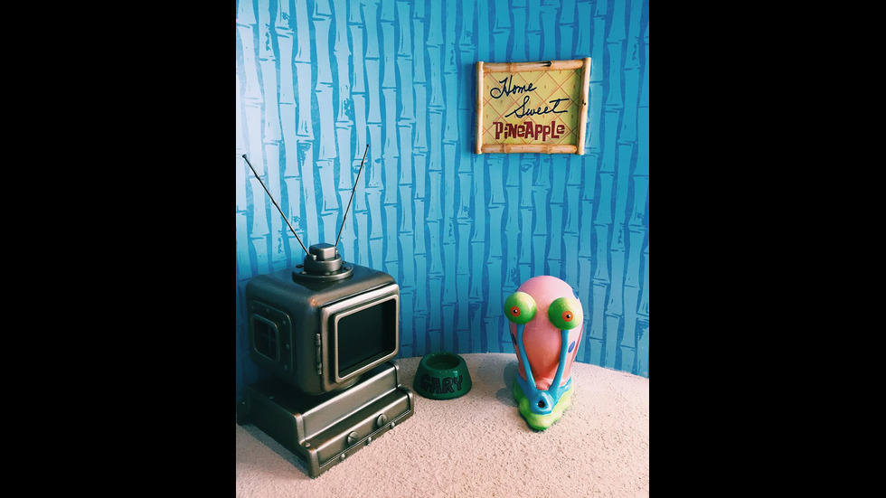 Първата вила ананас посреща посетители