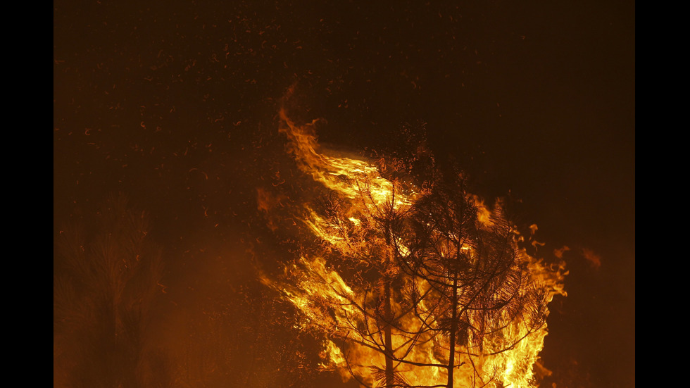 Над 3000 души участват в гасенето на пожари в Португалия