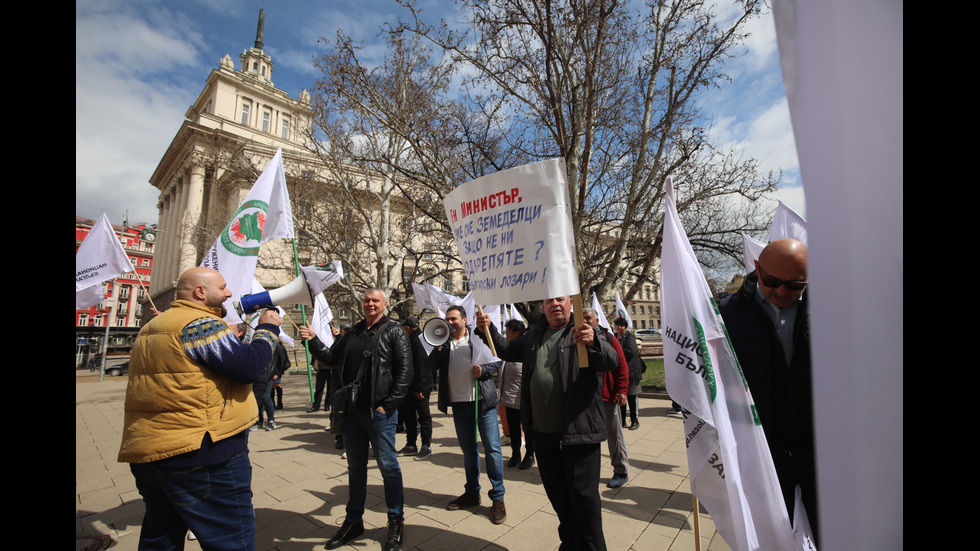 Лозари излязоха на протест