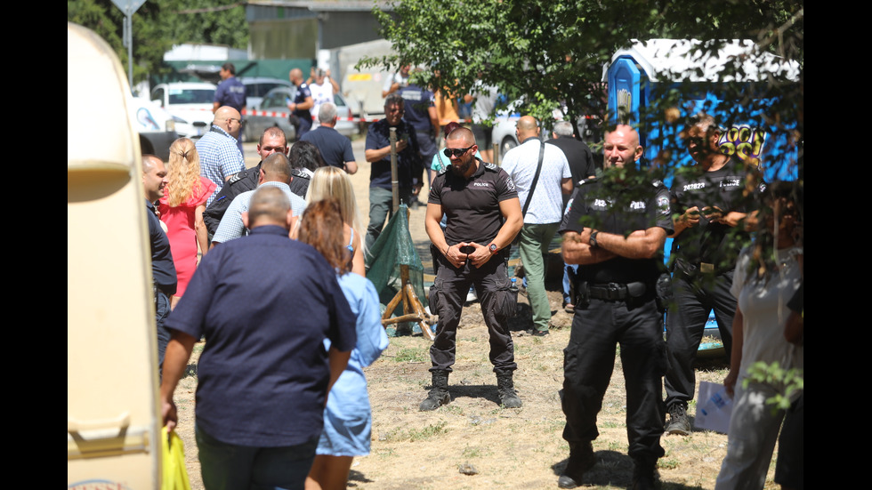 Сагата с Кроко приключи: Местят влечугото в Софийския зоопарк