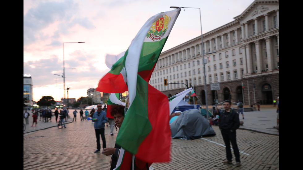 48-И ДЕН НА ПРОТЕСТИ: Изсипаха мъртва риба пред Министерски съвет