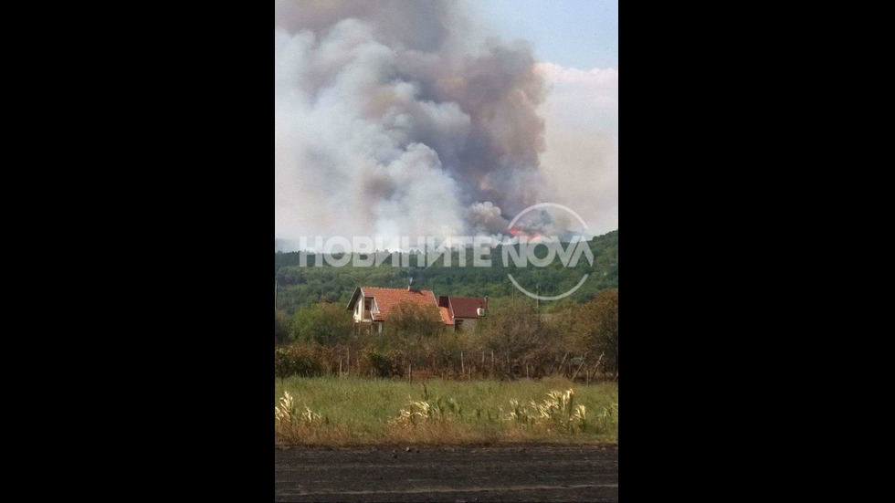 Стотици декари гора отново пламнаха край Изворище