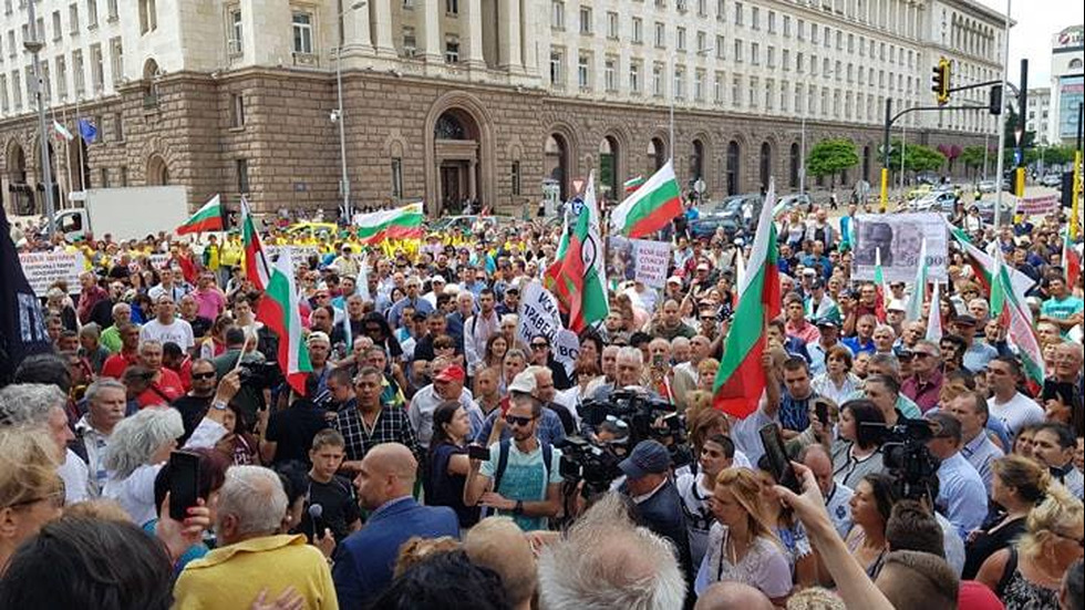 Протест на животновъди пред МС