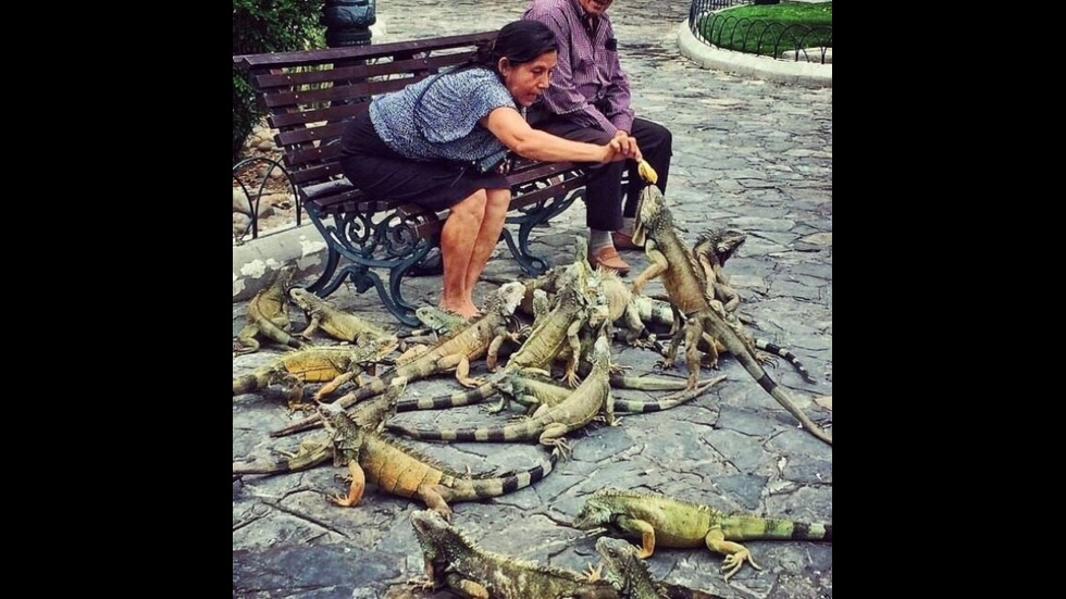 16 снимки, които ще ви поразят