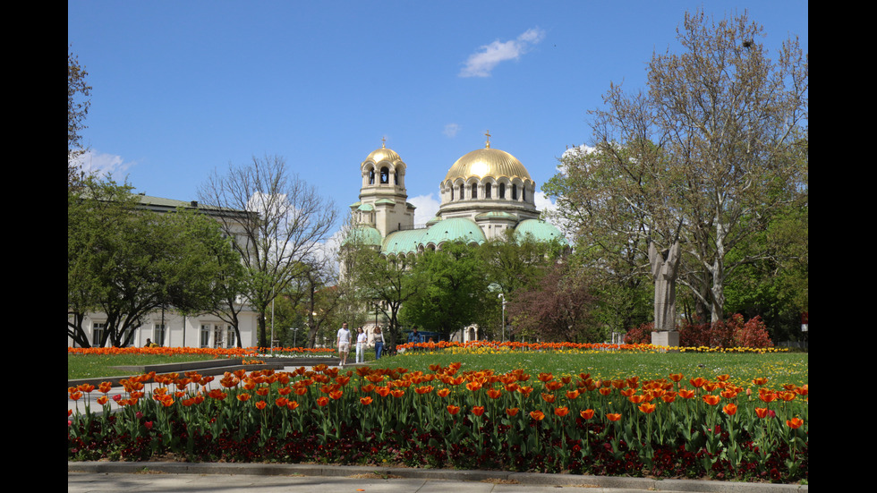 Красивата пролетна премяна на София