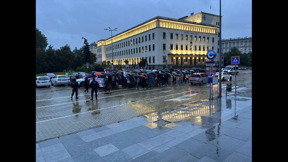 „Бъдеще в България”: Младите медици отново излязоха на протест